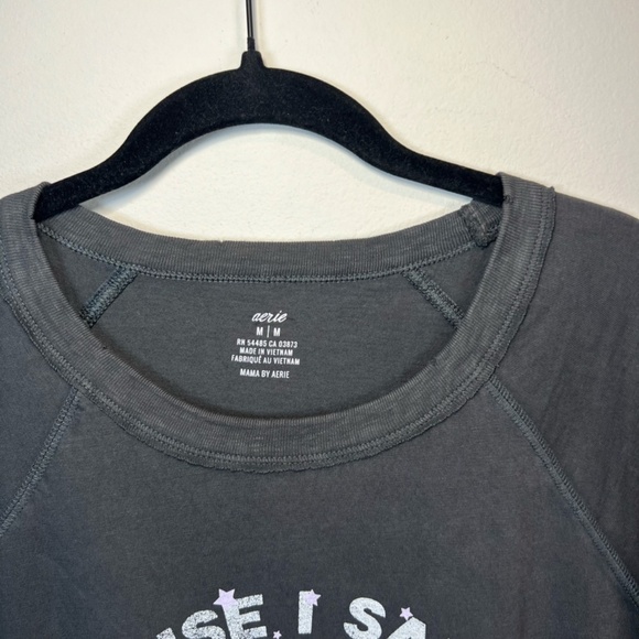 Aerie Classic Graphic T-Shirt Gray Distressed "Because I Said So" Women's Medium - Picture 2 of 12